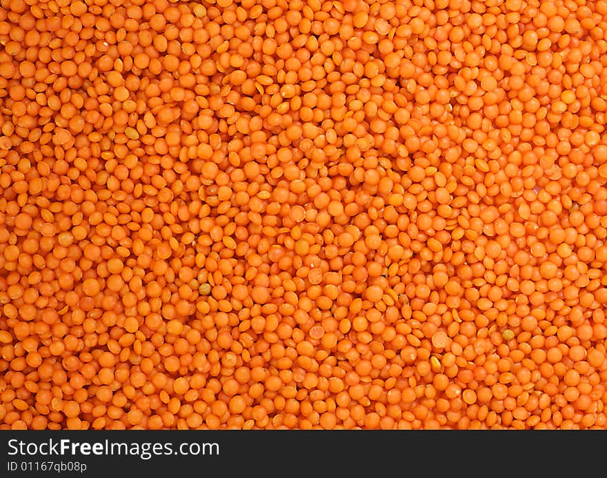 Red lentil