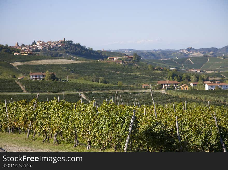 Hillside In Piemonte