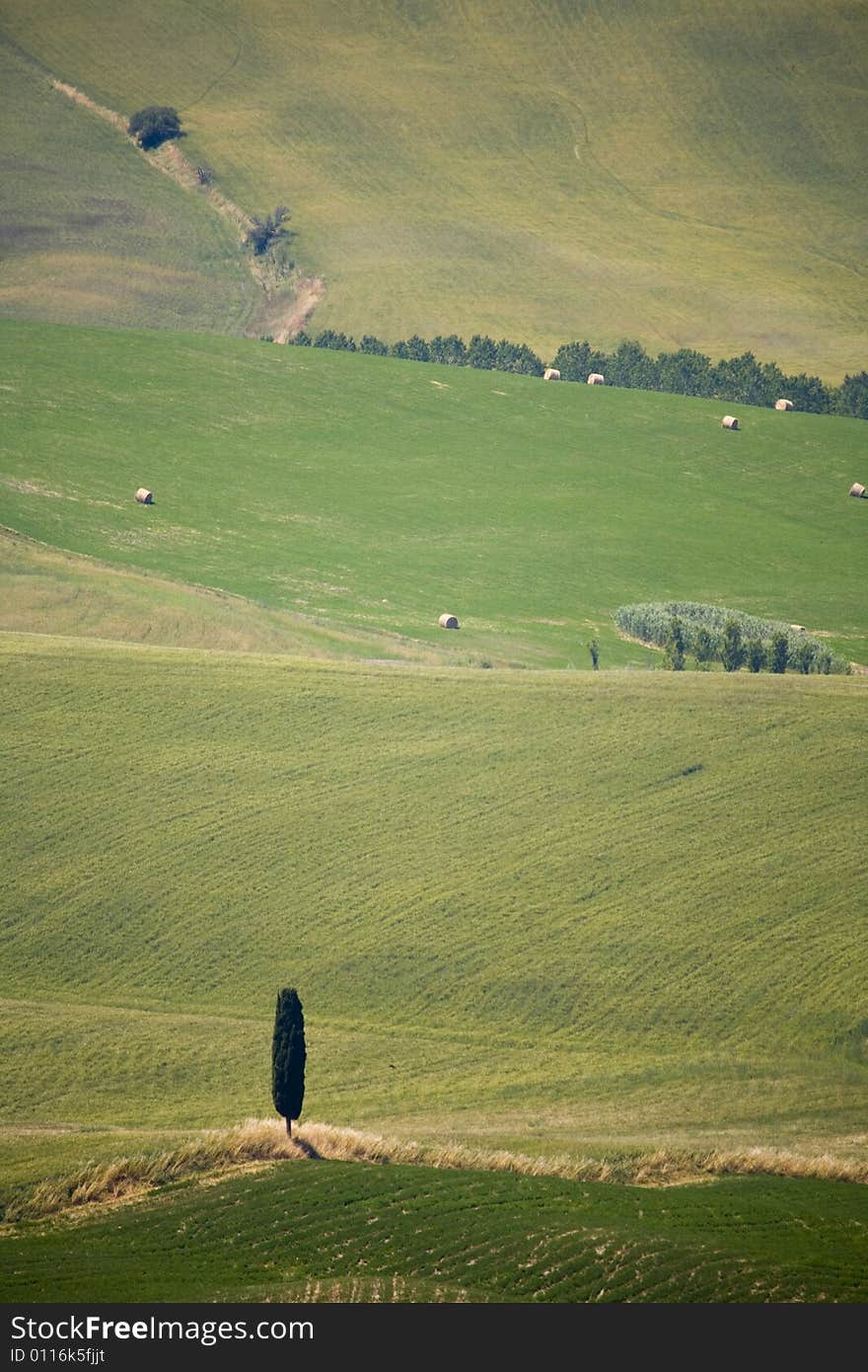 A italian hillside in summer