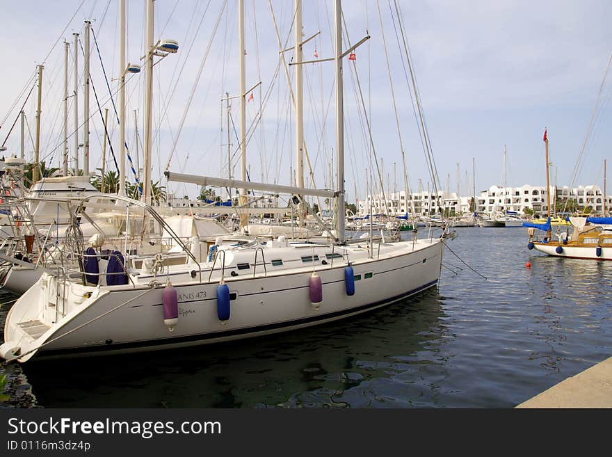 Many yachts in the port