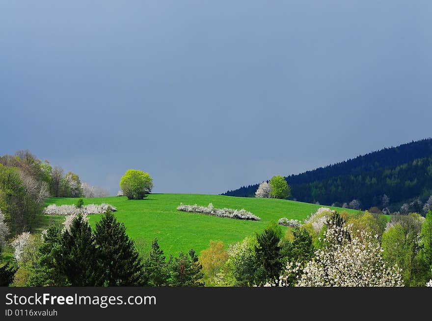 Hill in Wallachia in spring