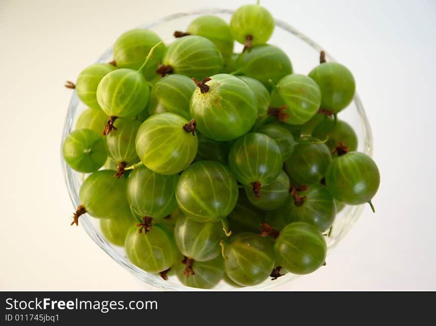 Green juicy berries of gooseberry. Green juicy berries of gooseberry