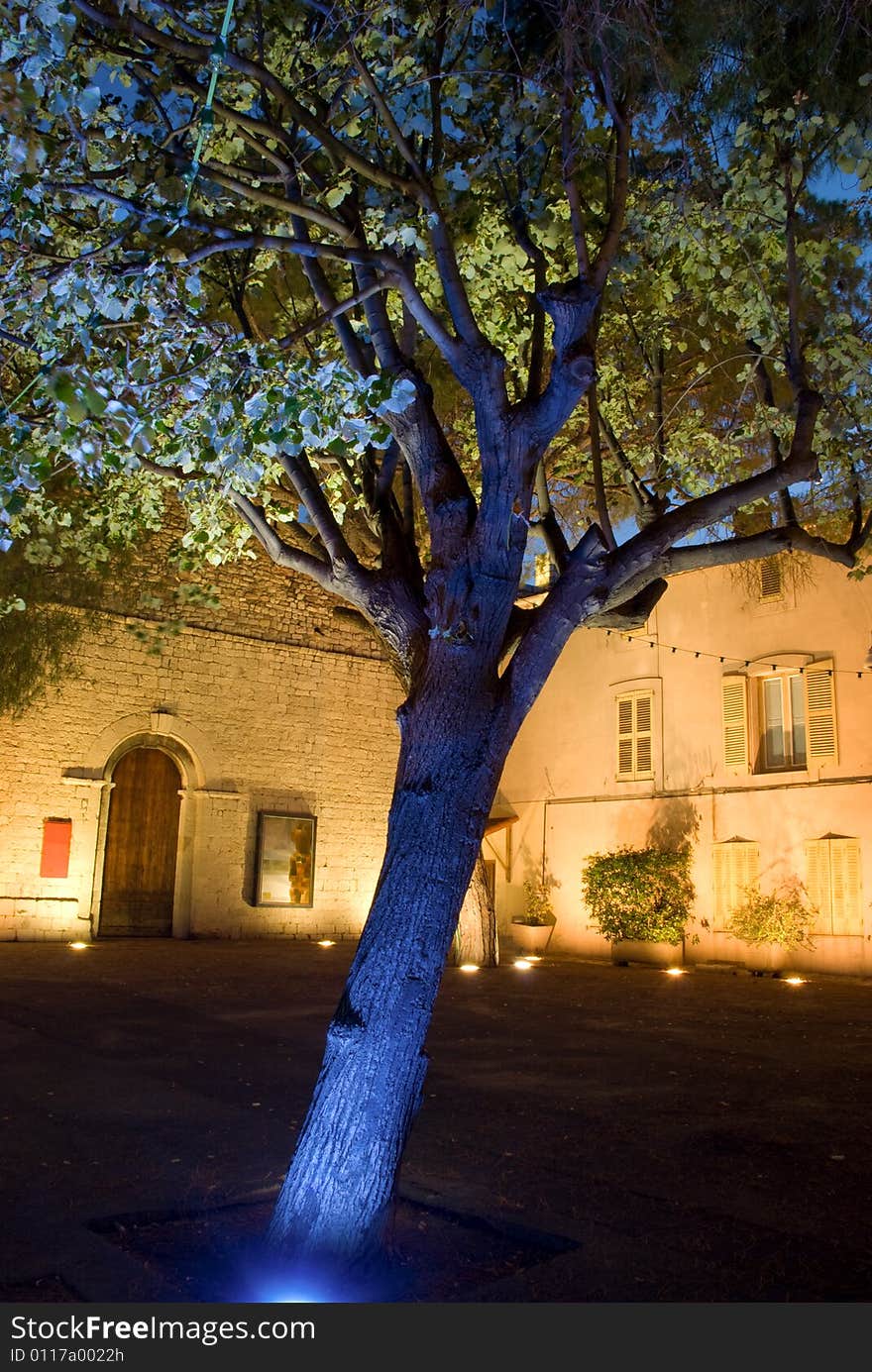 Tree surrounded by blue light in front of medieval bulding. Tree surrounded by blue light in front of medieval bulding