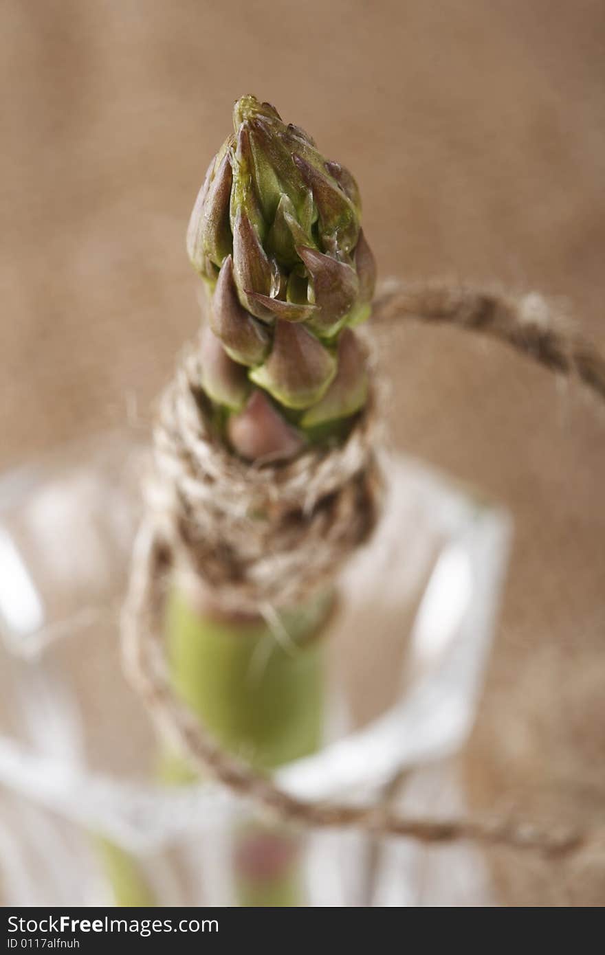 Asparagus spear tied by rope