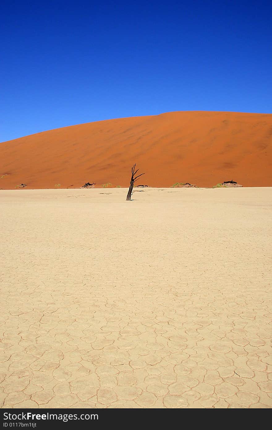 Dead acacia trees at Dead Vlei, Namib desert