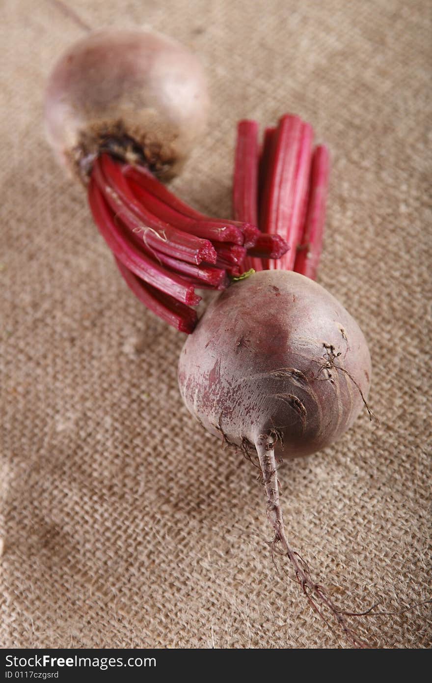 Two fresh bootroot on brown hessian rustic background, shallow DOF