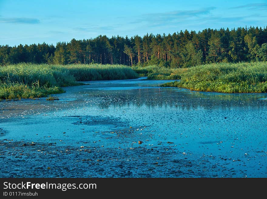 Pollution debris environment and nature