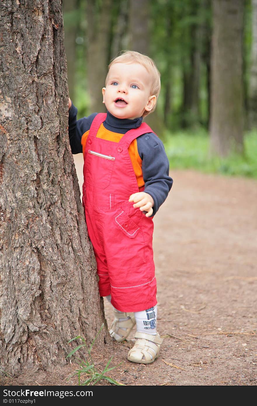 Child Keeps For Tree In Park