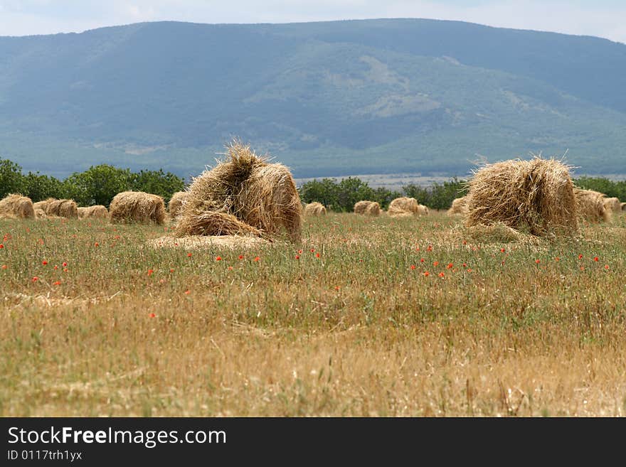 Ricks Of Straw