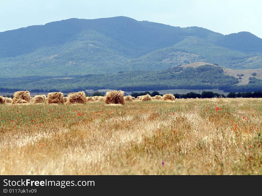 Ricks Of Straw