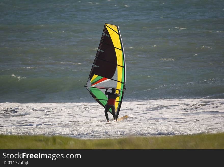 Sail boarder in the Pacific ocean