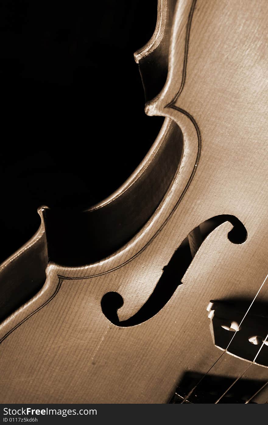 Fragment Of Violin