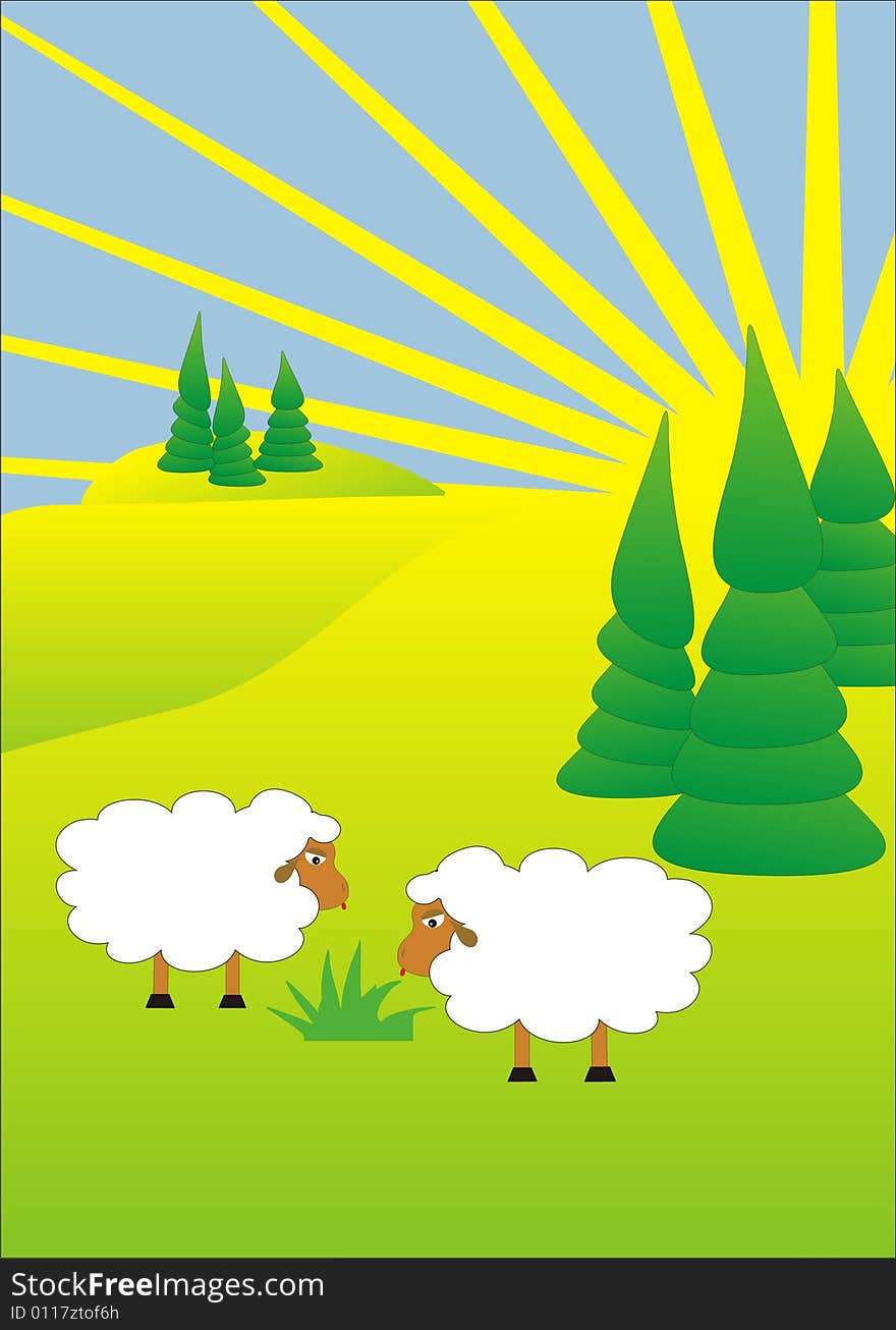 Sheep are eating grass in summer day. Sheep are eating grass in summer day