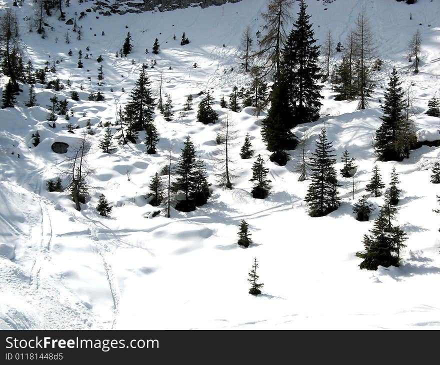 Long and beautiful ski run. Long and beautiful ski run