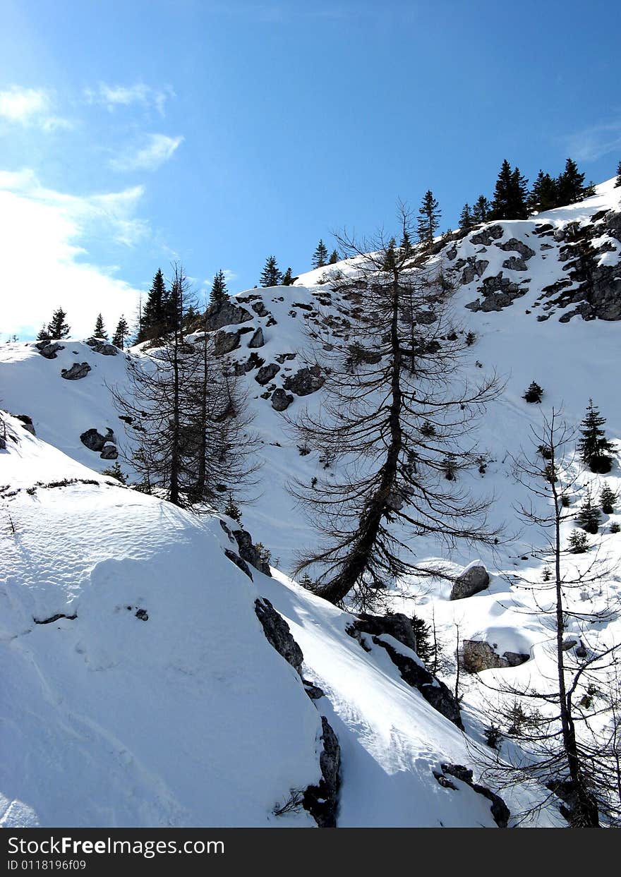 Long and beautiful ski run. Long and beautiful ski run