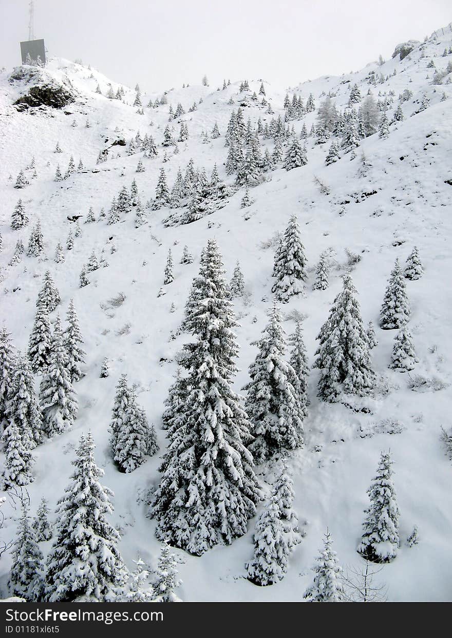 Madonna Di Campiglio