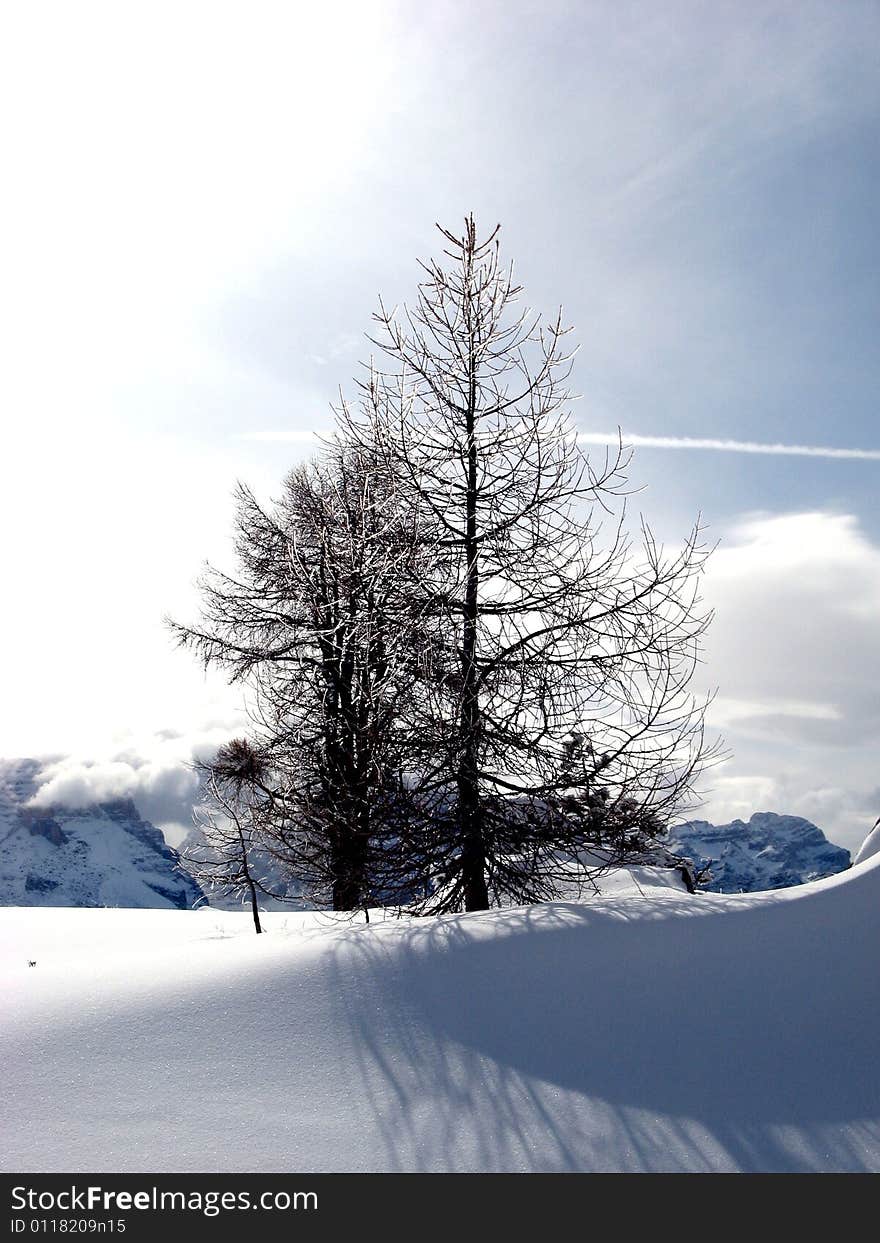 Madonna Di Campiglio