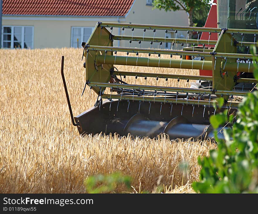 Big Combine in a wheat field in harvest time. Big Combine in a wheat field in harvest time