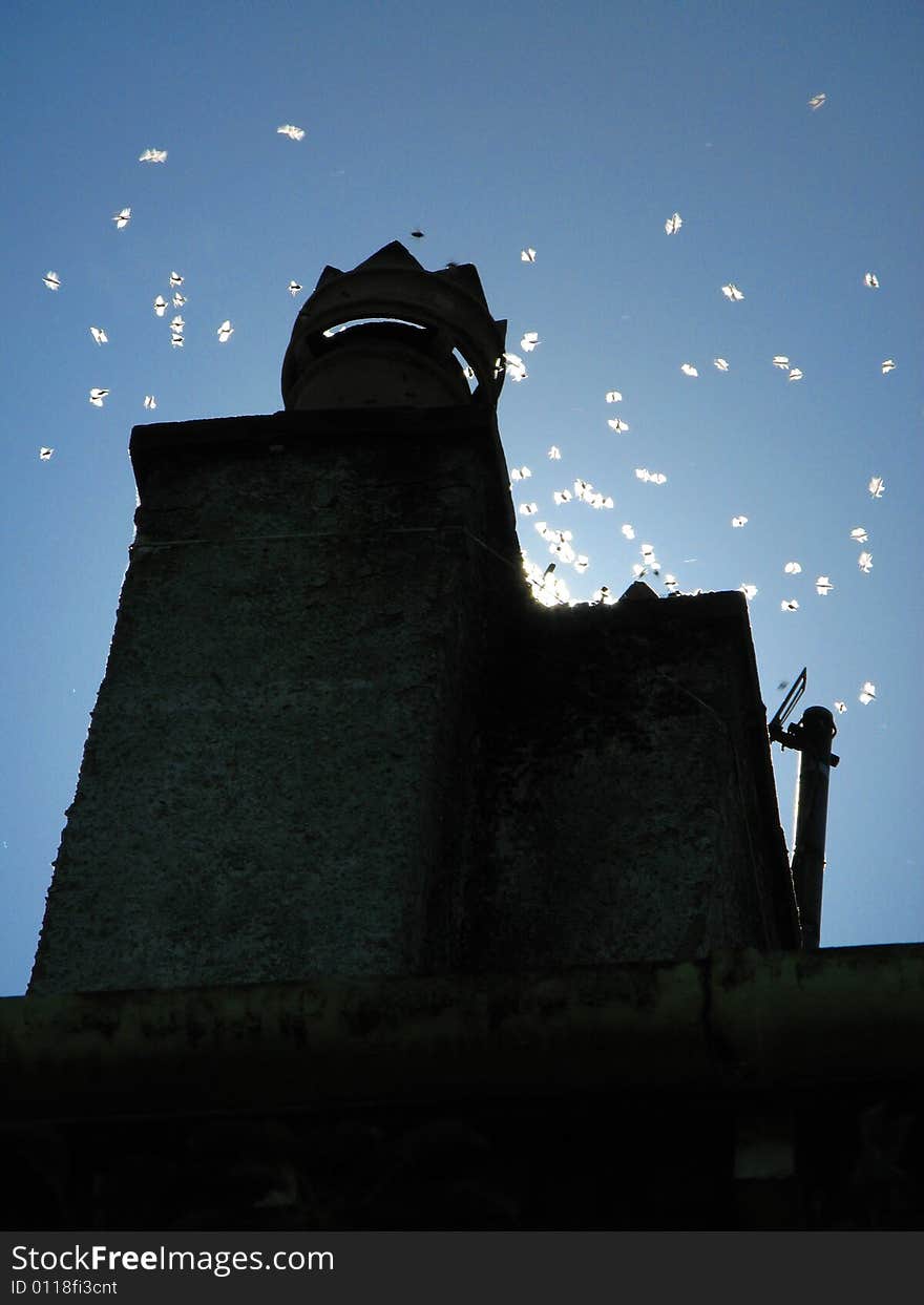 Bees or wasps swarming around a nest on a chimney pot. Bees or wasps swarming around a nest on a chimney pot