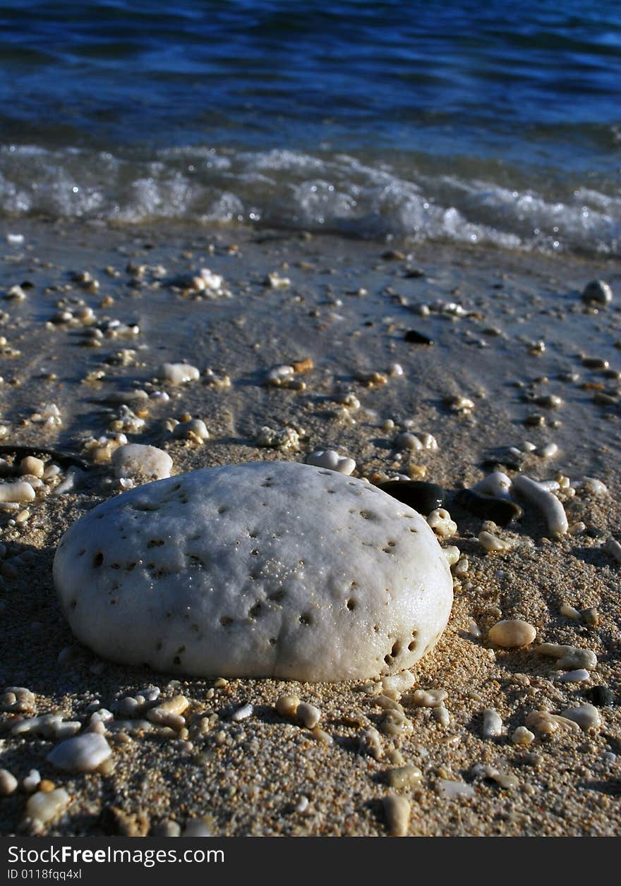 Rock at the shoreline