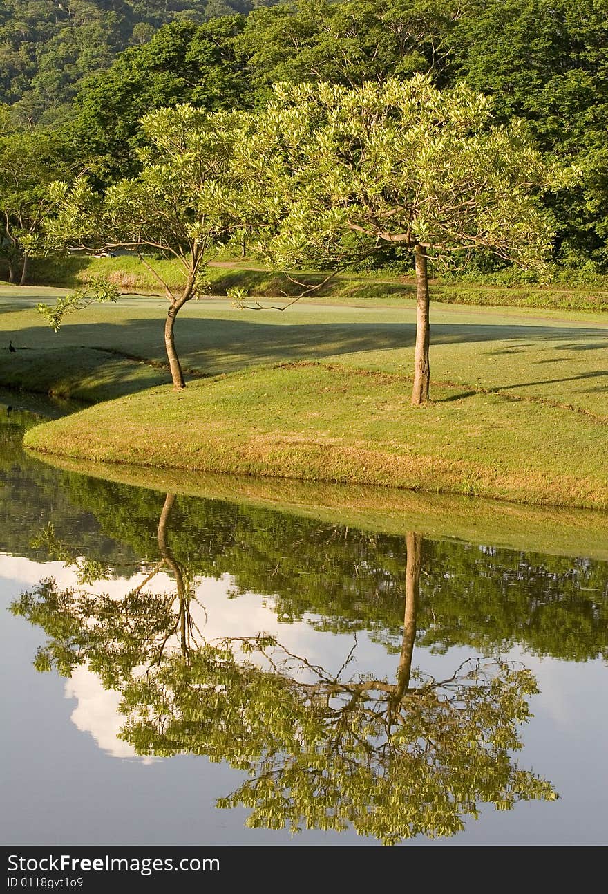 Two Trees Reflected