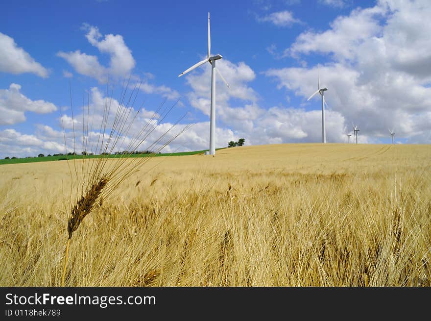 Barley in summer with several wind-farm