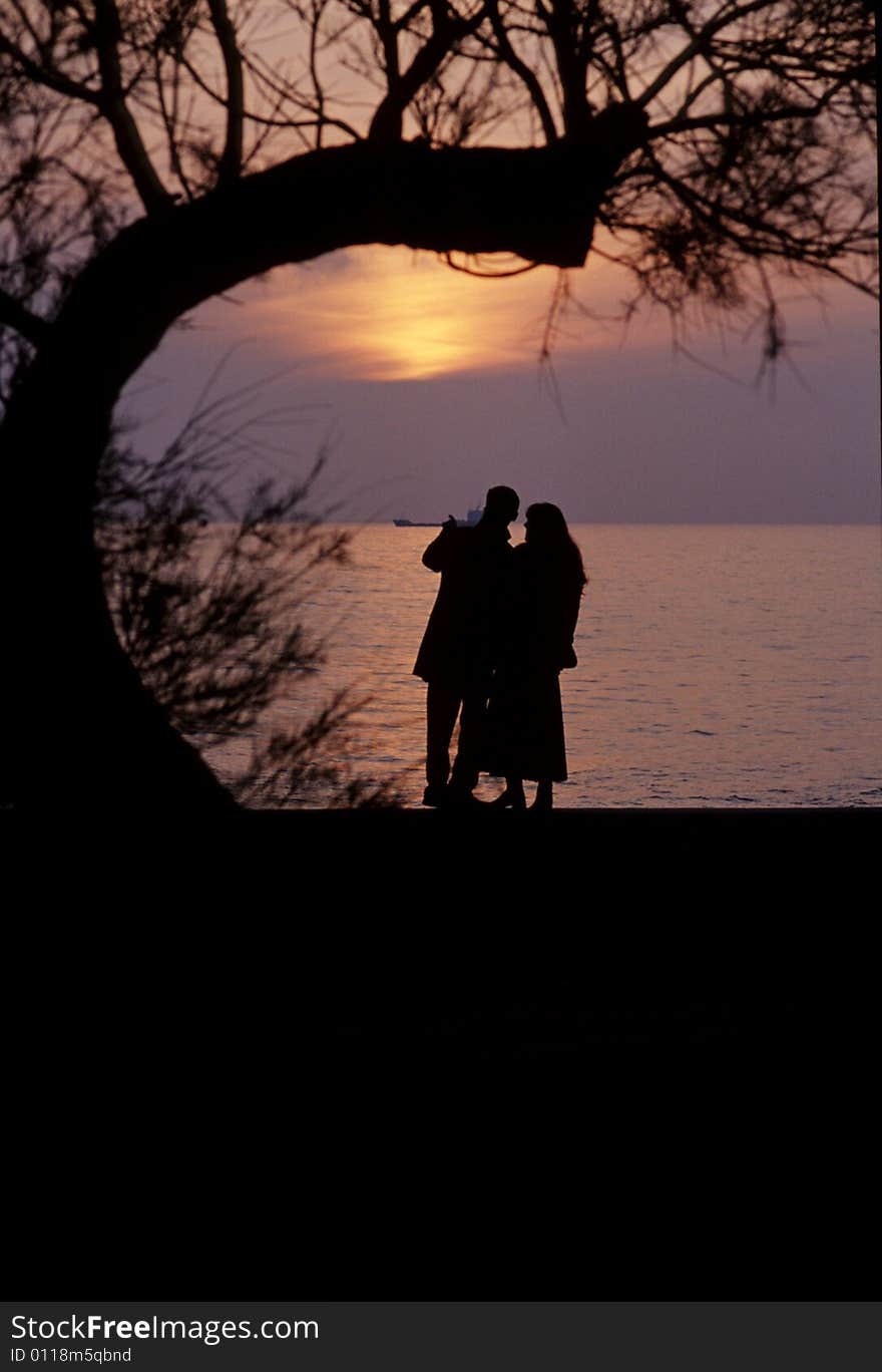 A man and a woman look together the sea sunset under a tree. A man and a woman look together the sea sunset under a tree