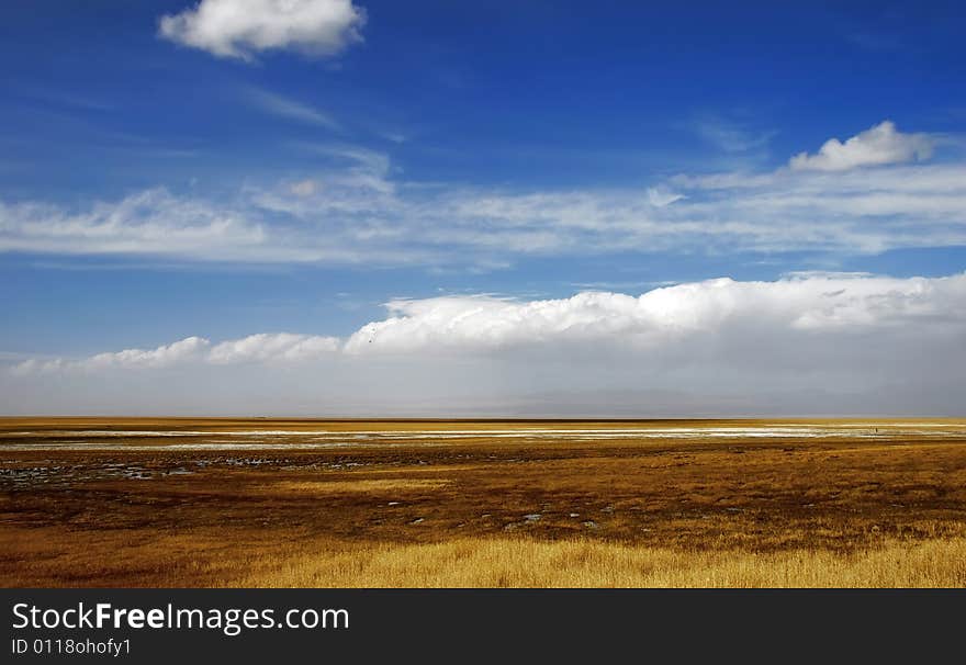 Golden yellow prairie and blue color sky in autumn