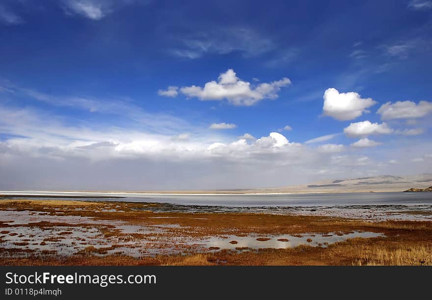 Golden yellow prairie and blue color sky in autumn