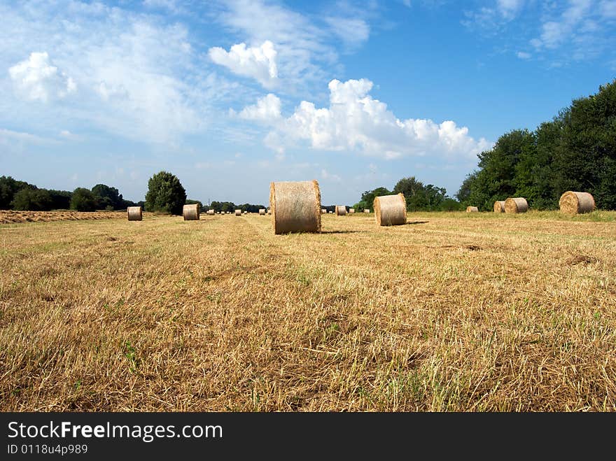 Wonderful hayfield