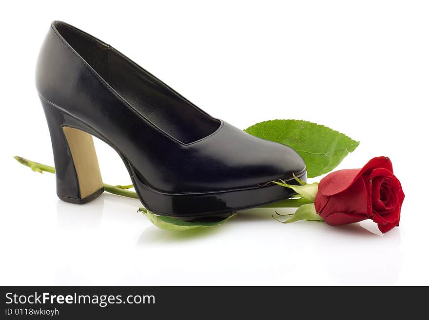 Black leather high-heeled shoe on a red rose, white background. Black leather high-heeled shoe on a red rose, white background