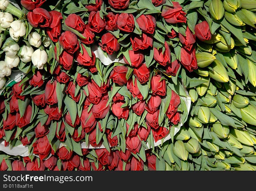 Bunch of tulips on a market place. Bunch of tulips on a market place