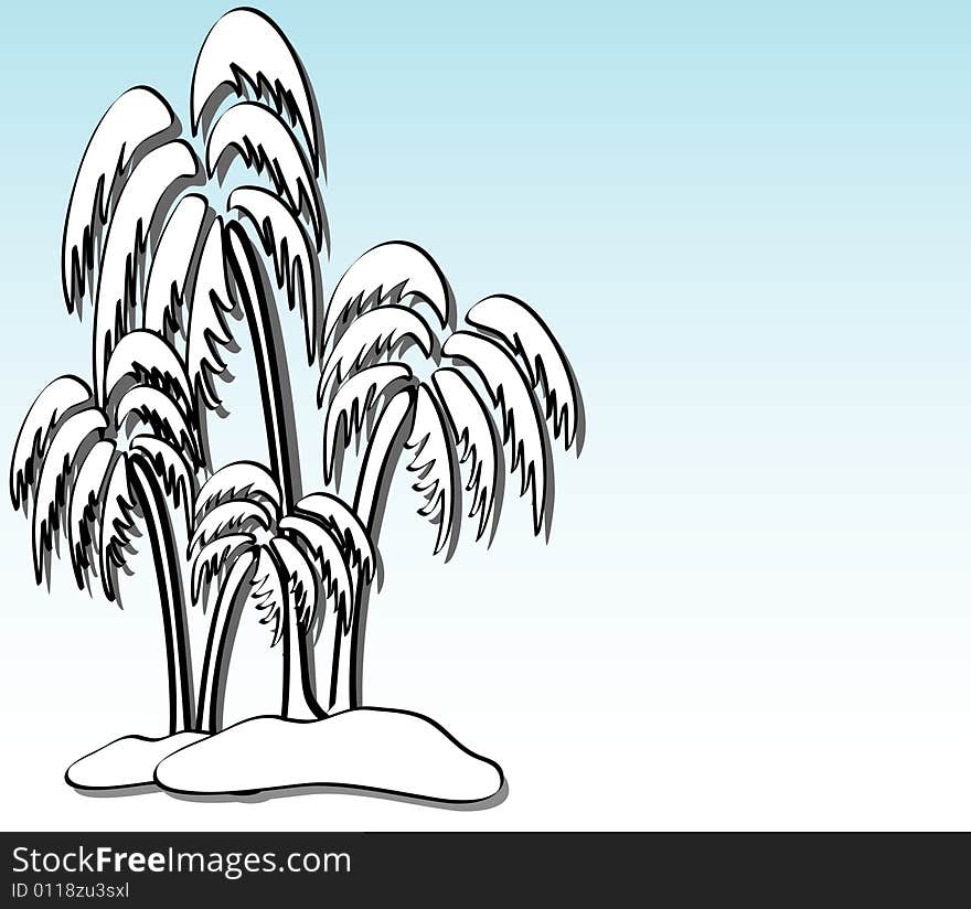 Vector illustration of a palm tree. Vector illustration of a palm tree