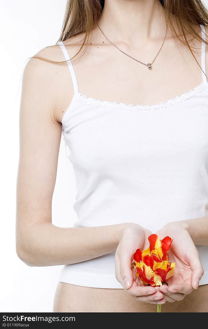 A shot of tulip in girls hands. A shot of tulip in girls hands