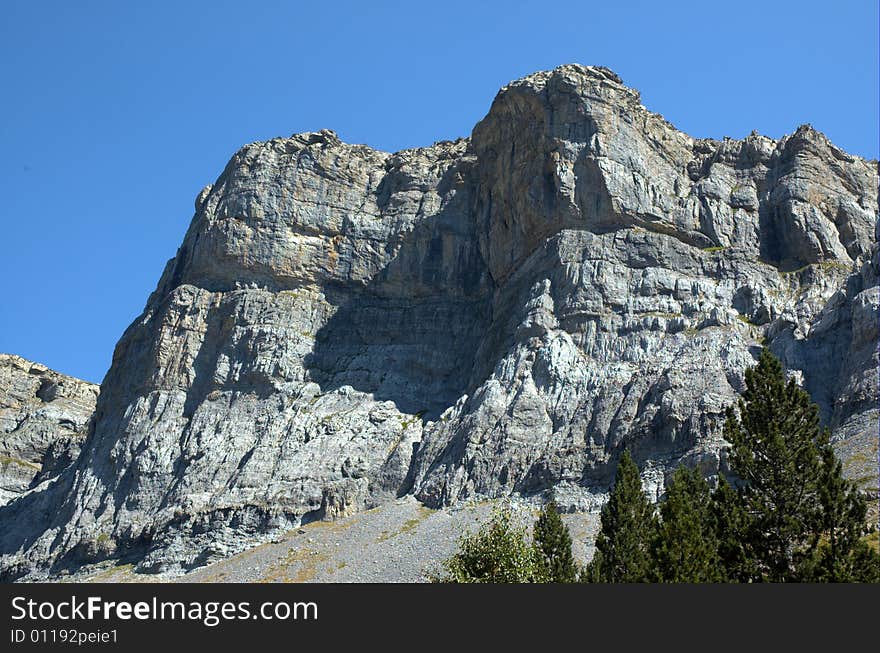 Stands Of Soaso