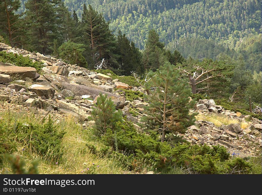 Sarrios in the Pyrenees.