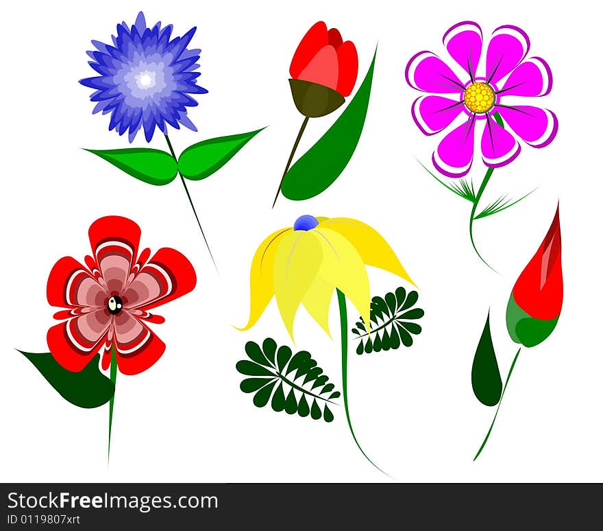 Color flowers. Nice vector picture