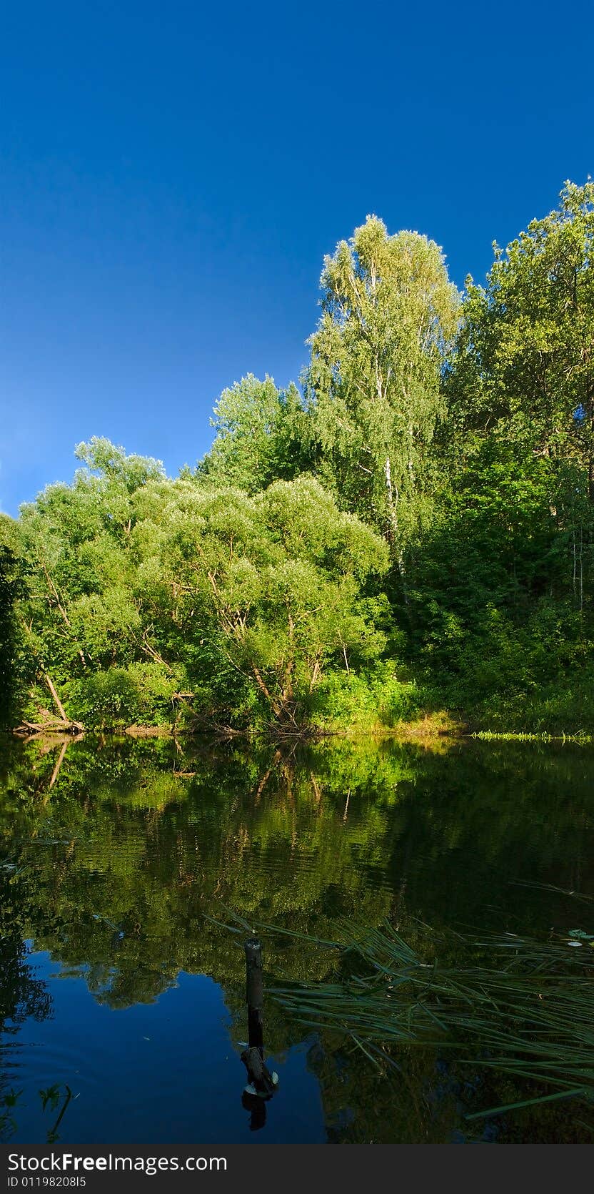 River landscape