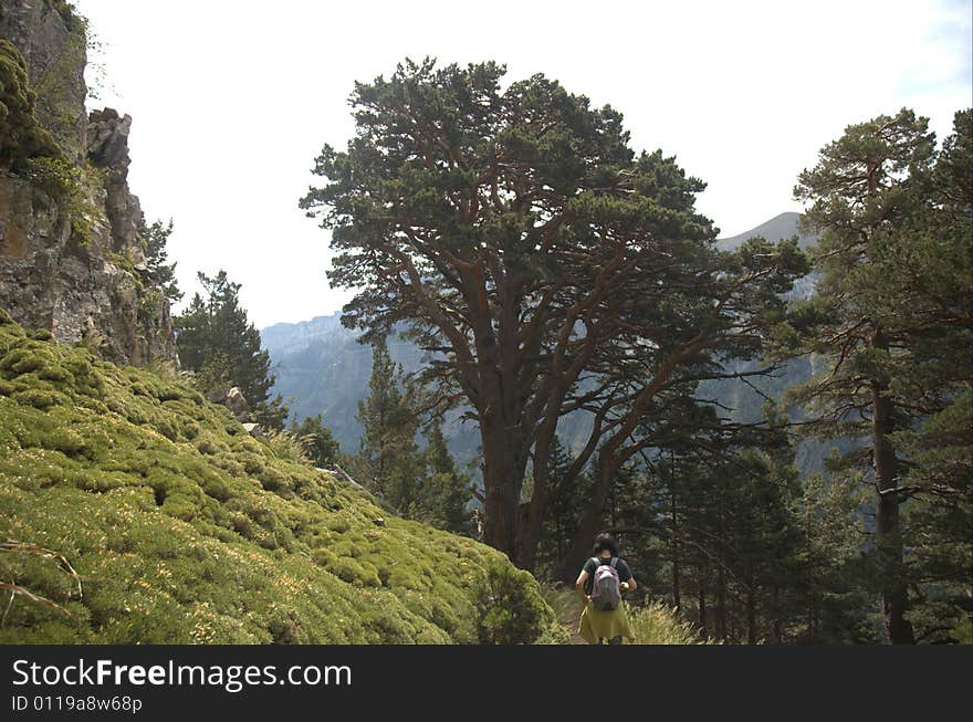 By walking through the park's natural Ordesa. By walking through the park's natural Ordesa.