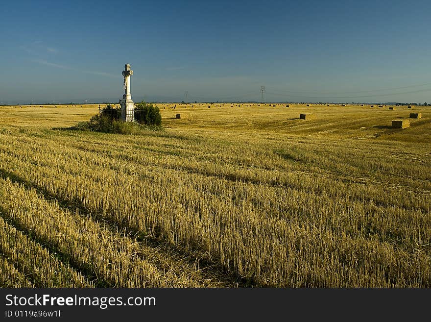 The picture of field after cropping