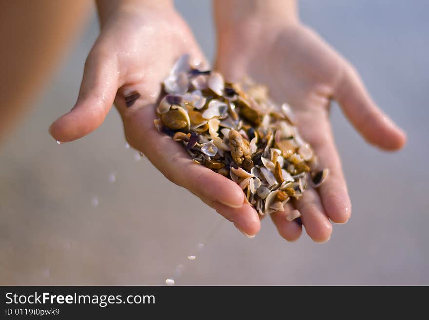 Seashells an stones on a woman's hands