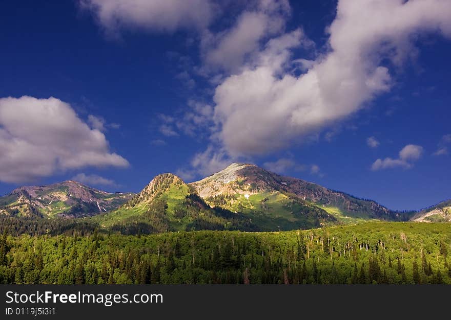 Mountain Summer