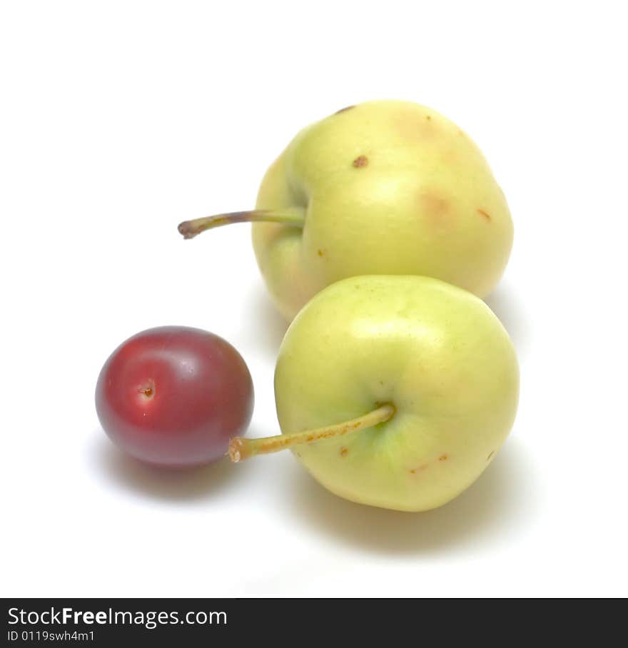 Fruit