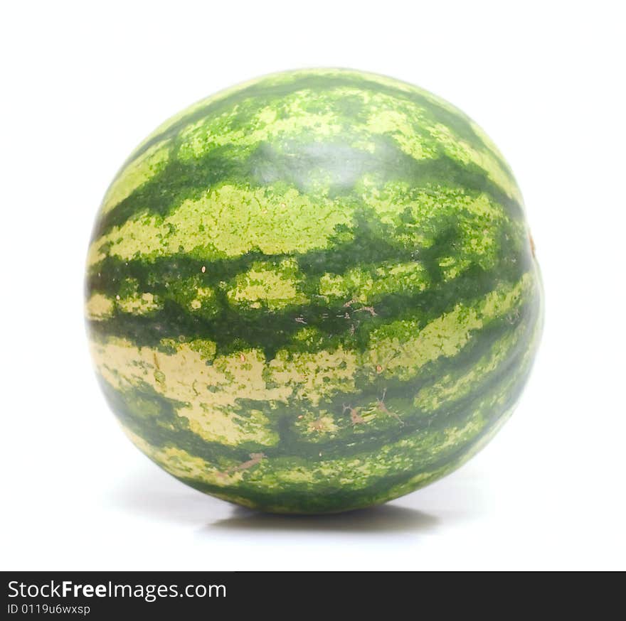 Watermelon fresh for your design