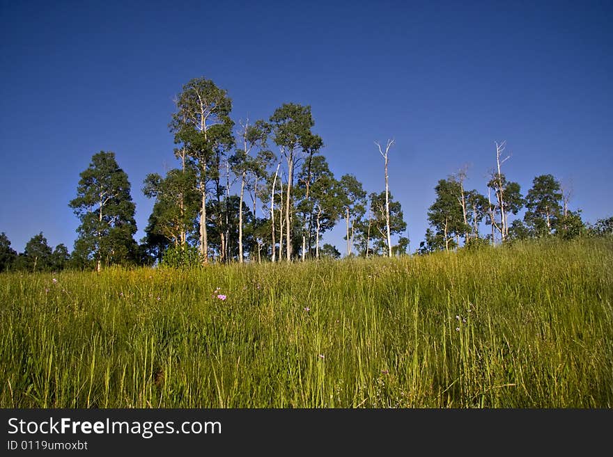 Rocky Mountains in the spring showing trees and  mountains. Rocky Mountains in the spring showing trees and  mountains