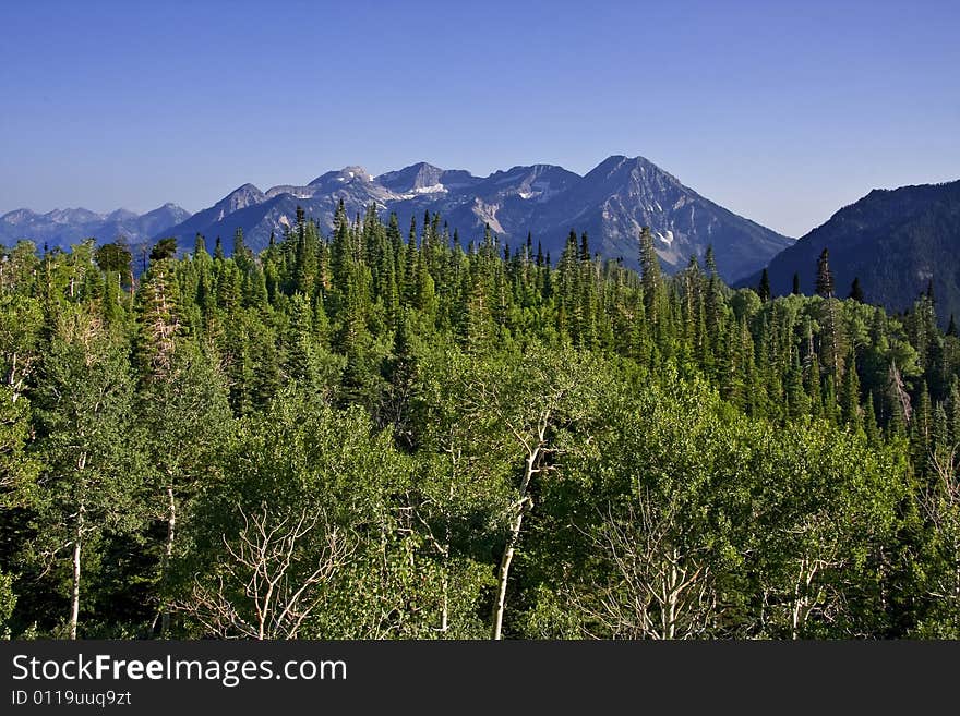 Rocky Mountains in the spring showing trees and snow capped mountains. Rocky Mountains in the spring showing trees and snow capped mountains