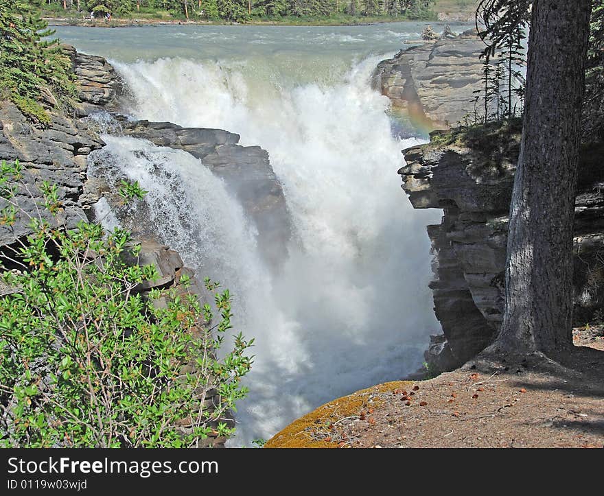 Athabasca Falls in the July afternoon Jasper National Park Alberta Canada