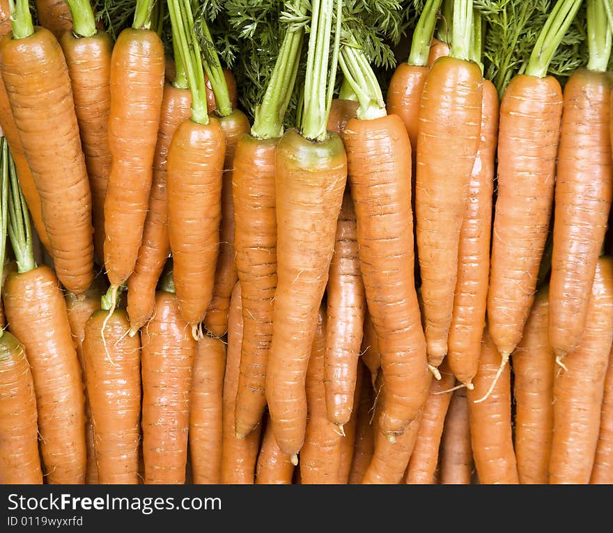 Bright Orange Carrots