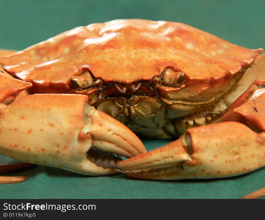 Close up of a whole steamed crab on green background