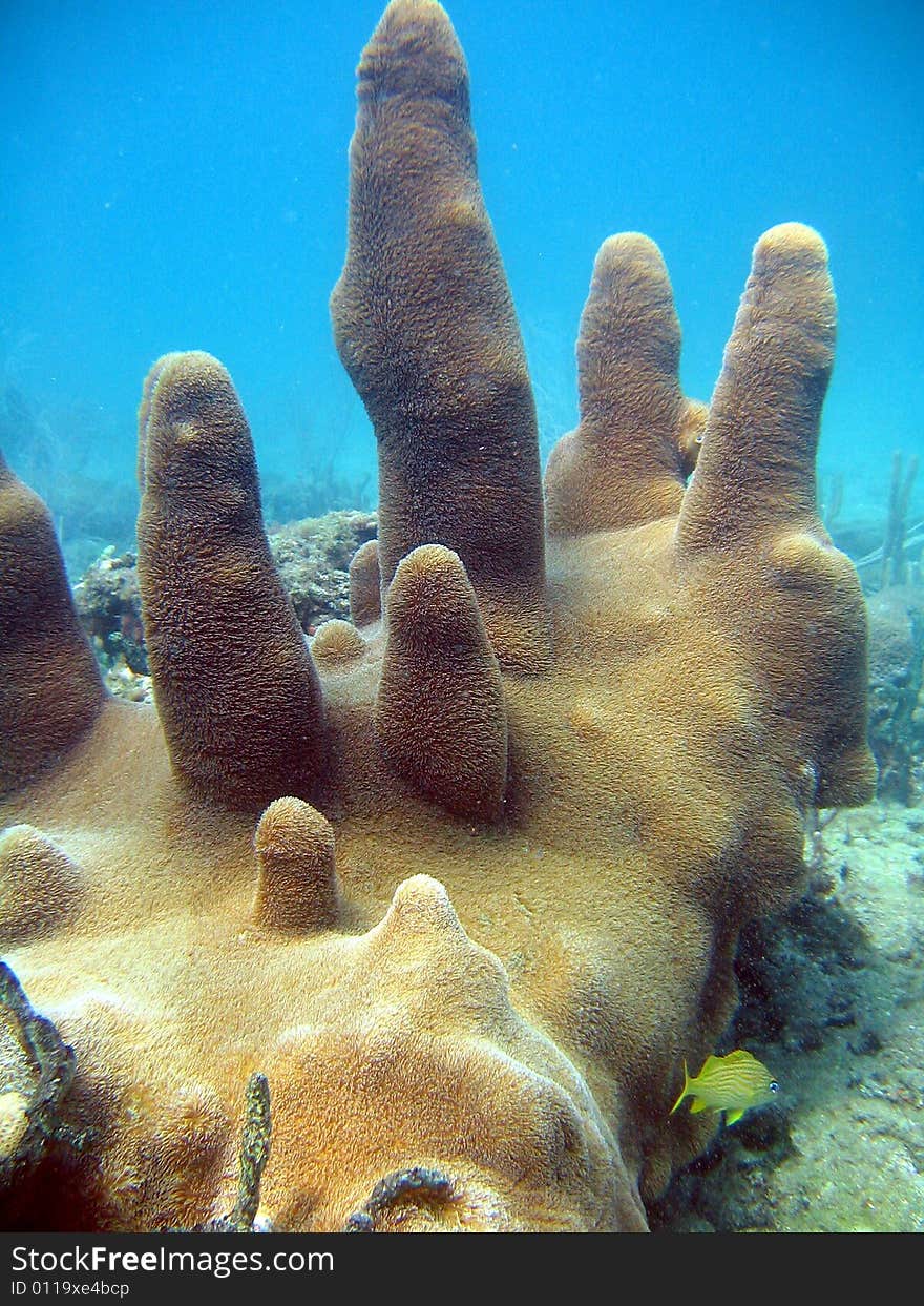 This image was taken off the beach in Pompano beach, Florida. This image was taken off the beach in Pompano beach, Florida